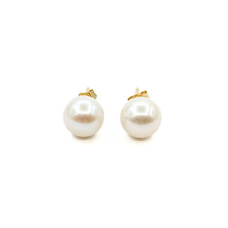 Earrings 8mm Pearl 14ky 8mm 125110096