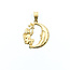 Pendant Star & Moon 14ky 26mm 1.88g 125102021