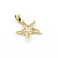 Pendant Filigree Starfish 14ky 22.5mm 1g 125112006