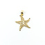 Pendant Filigree Starfish 14ky 22.5mm 1g 125112006