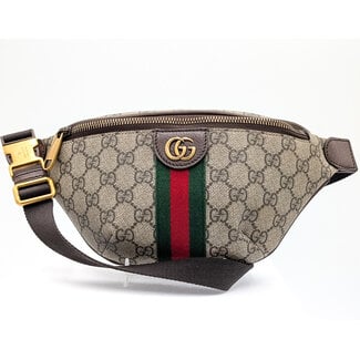 Waist Pouch Gucci Ophidia Small Belt Bag 125125048