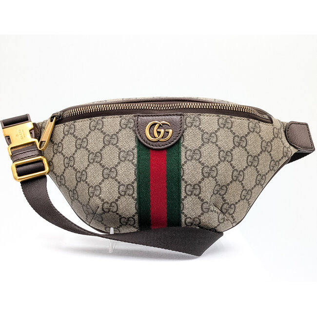 Waist Pouch Gucci Ophidia Small Belt Bag 125125048