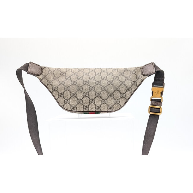 Waist Pouch Gucci Ophidia Small Belt Bag 125125048