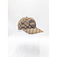 Cap Gucci Logo Beige Canvas 126015055