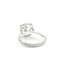 Ring Halo Pave 4.05ct Lab Grown Cushion IGI: 727534529 1ctw Eternity Diamonds 18kw Sz7 4.85g 125120095