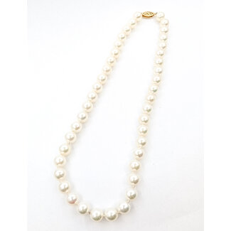 Necklace Strand 7.5-8mm Akoya Pearls 14ky 14.5" 223010031
