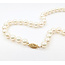 Necklace Strand 7.5-8mm Akoya Pearls 14ky 14.5" 223010031