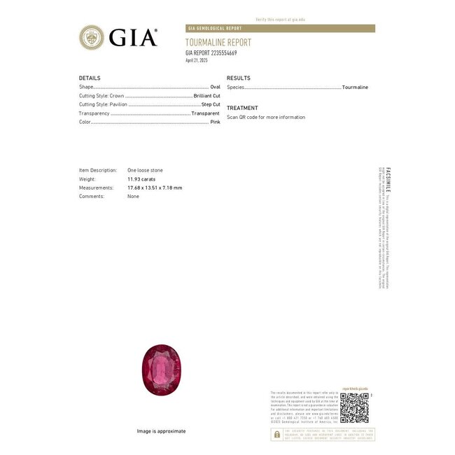 Pendant Drop Halo W/Chain 1.17ctw Round Diamonds GIA Report: 2235554669 11.93ct Pink Tourmaline 18ky & Plat 1.6x.75" 17" 12.86g 226030009