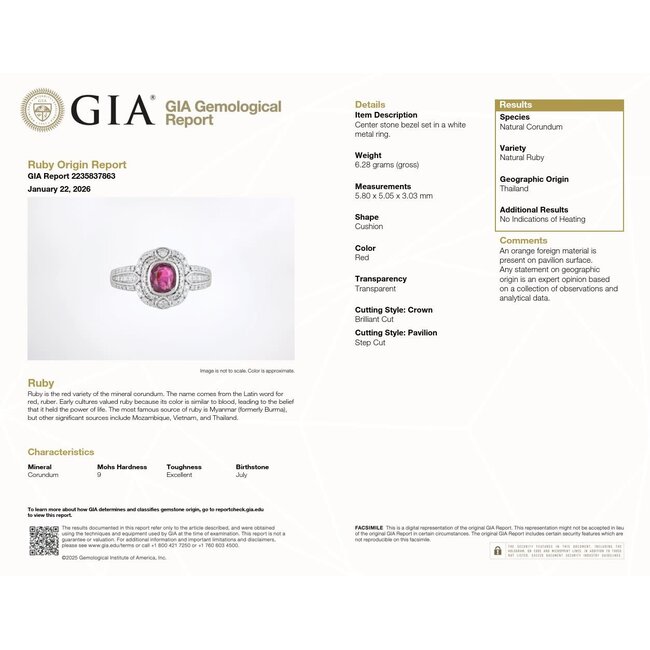 Ring Double Halo 0.52ctw Round Diamonds GIA Report: 2235837863 0.96ct Unheated Red Ruby Platinum 22mm Sz6.5 6.3g 226030033