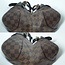 Handbag Louis Vuitton Sistina Damier MM 126035035
