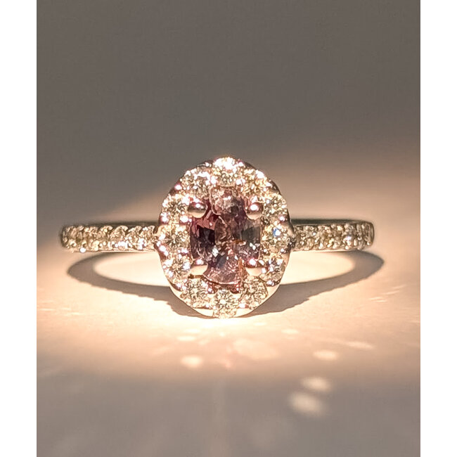 Ring Halo 0.5ctw Near Colorless Diamonds 0.65ct Oval Alexandrite 14kw Sz7 3.2g 125120086