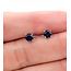 Earrings Stud 4mm Sapphire 14kw 4mm .82g 126050016