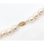 Necklace Strand 7mm Freshwater Pearl 14ky 7mm 18" 25.62g 126050021
