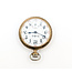 Pocket Watch Illinois Watch Company "Illinois Special" Yr. 1900 53.5mm Gold Plate Watch Only 126046021
