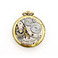 Pocket Watch Illinois Watch Company "Illinois Special" Yr. 1900 53.5mm Gold Plate Watch Only 126046021