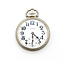 Pocket Watch Illinois Watch Company Bunn Special Yr. 1926 50mm White Gold Plate Watch Only 126046019