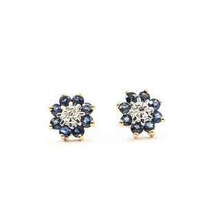 Earrings Stud Halo .02ctw Round Diamonds .50ctw Blue Sapphire 14ky 9mm 1.79g 126050060
