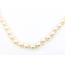 Necklace Strand Hook & Ball Clasp 10mm White Pearl 14ky 10mm 19" 63.09g 126070143