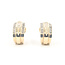 Earrings Cluster Omega Back 0.66ctw Round Diamonds        14ky  .6x.3" 5.68g 226070075
