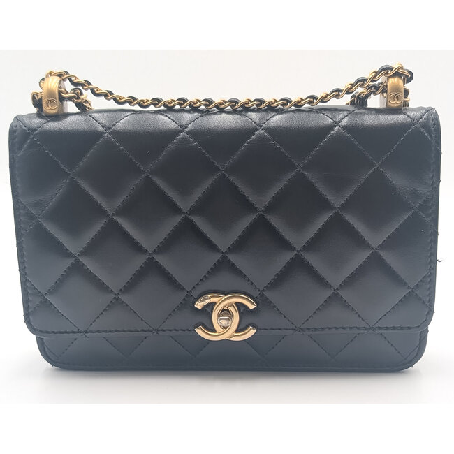 Handbag Chanel Adjustable Strap Wallet on Chain AP2289 126085049
