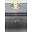 Handbag Chanel Adjustable Strap Wallet on Chain AP2289 126085049