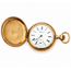 Watch Waltham Hunter Case c.1899 American Waltham Watch Co., Roman Numeral Dial 34mm Gold Plate Watch Only 126096004