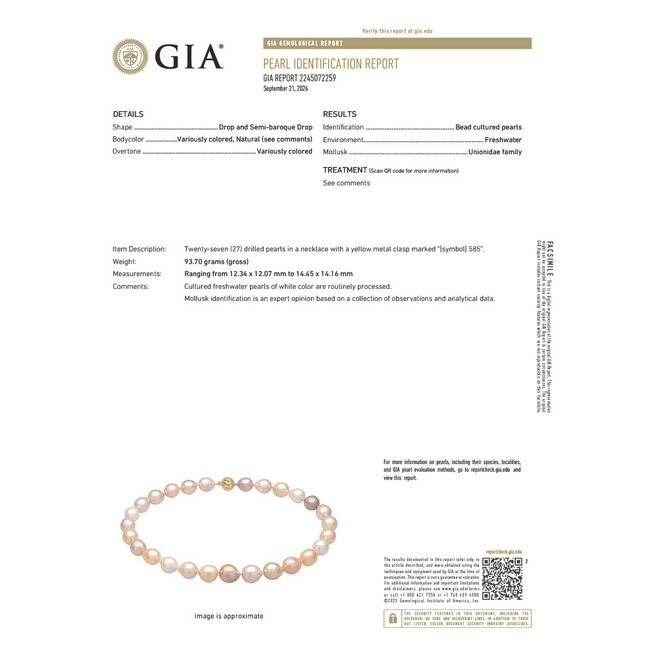Pearl Strand Gold Clasp 12x15mm Multicolor South Sea Pearls GIA: 2245072259 14ky 17" 93.7g 226090001