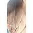 Shoulder Louis Vuitton Saumur 43 Monogram M42252 126095056