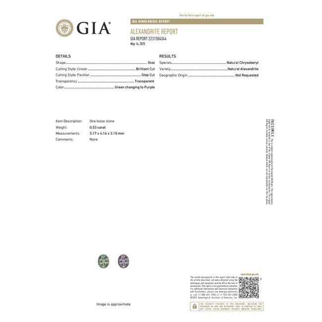 Necklace Halo .30ctw Round Diamonds GIA Report: 2231584344 .53ct Green to Purple Color Changing Alexandrite 850pt 16.5" 6.78g 125060142