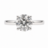 Diamond Engagement