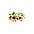 Gold Fashion
