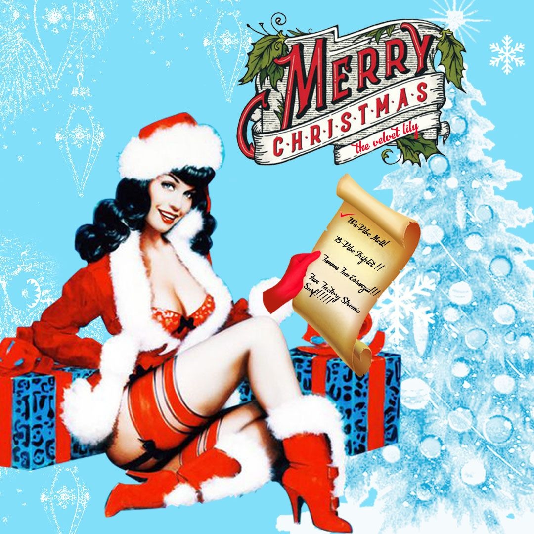 Naughty Holiday Gift List