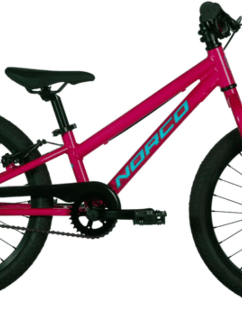 NORCO NORCO ROLLER 20 PINK/BLUE