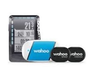 Best price wahoo elemnt roam hotsell