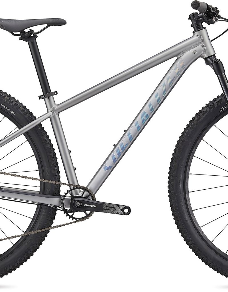 SPECIALIZED ROCKHOPPER EXPERT 29 - Silver Dust/Black Holographic L