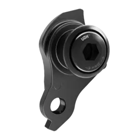 Specialized UDH Derailleur hanger