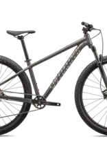 Specialized ROCKHOPPER EXPERT SMK/CHRM L - 29