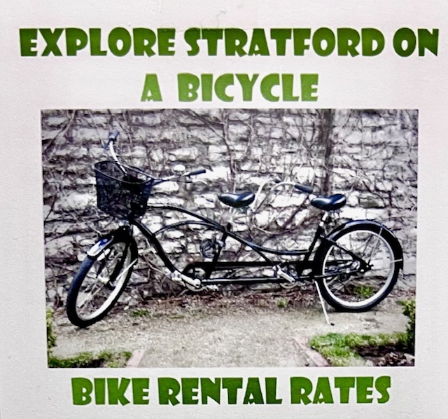 Bike Rentals