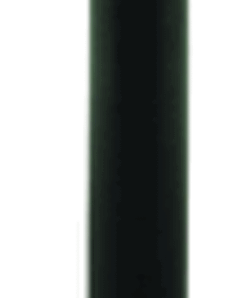 49N 49N DLX SEATPOST, 31.6, 350MM