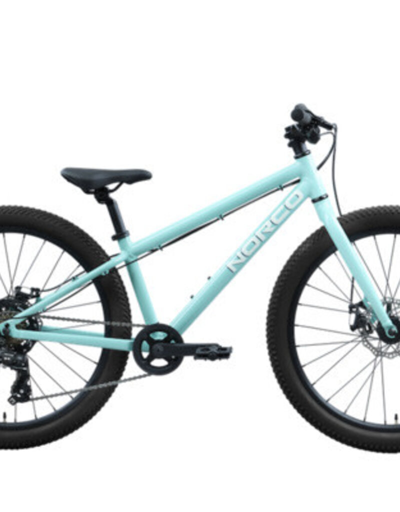 NORCO STORM 24 DISC  24 TURQUOISE