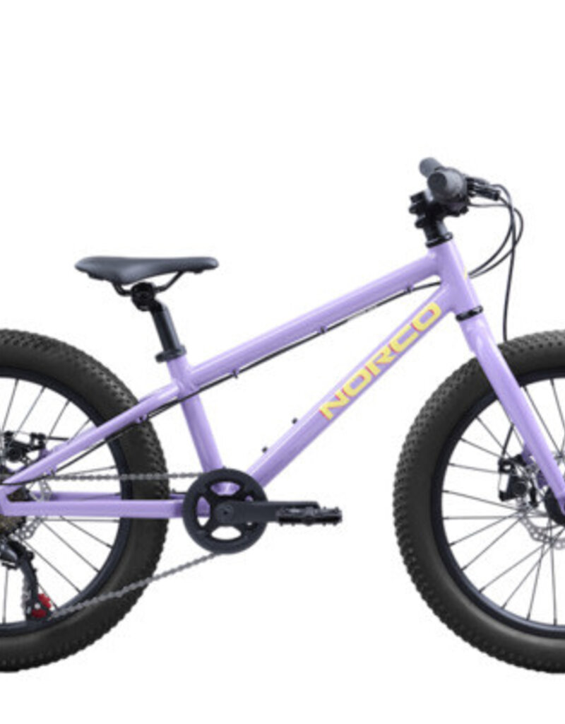 NORCO STORM 20 DISC  20" PURPLE