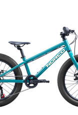 NORCO STORM 20 DISC  20 GREEN