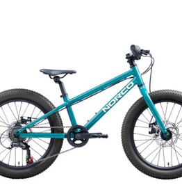 NORCO STORM 20 DISC  20 GREEN