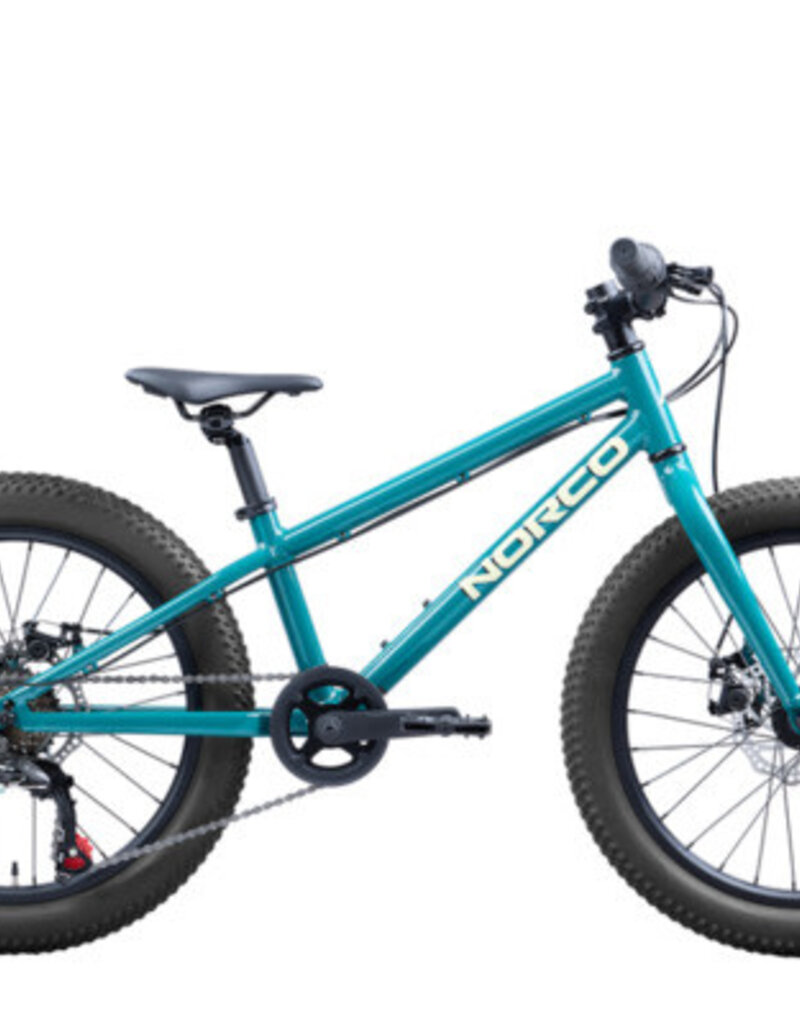 NORCO STORM 20 DISC  20 GREEN