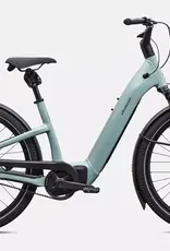 Specialized COMO 5.0 IGH AGVE/OAKGRNMET S