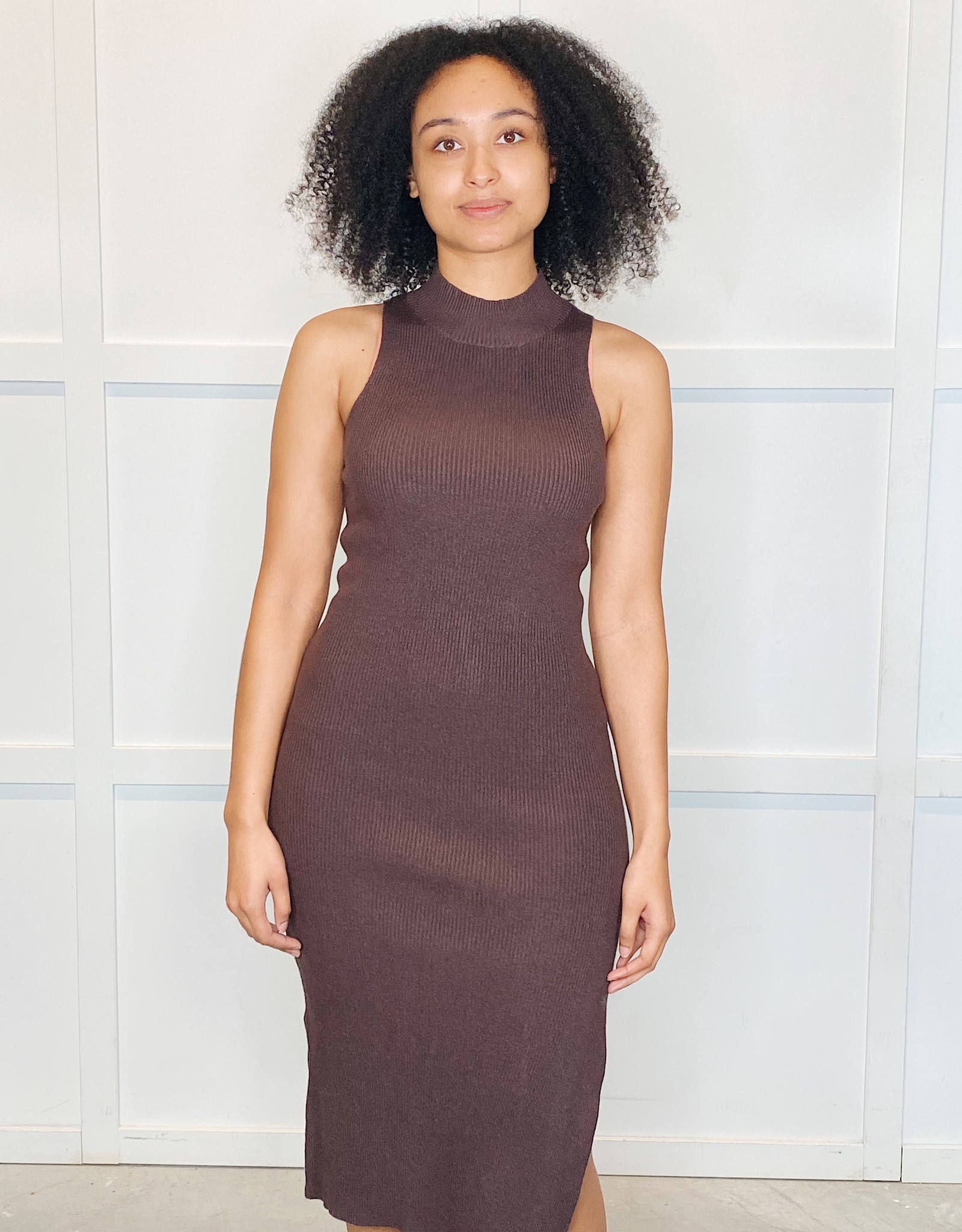 hush roll neck sweater dress