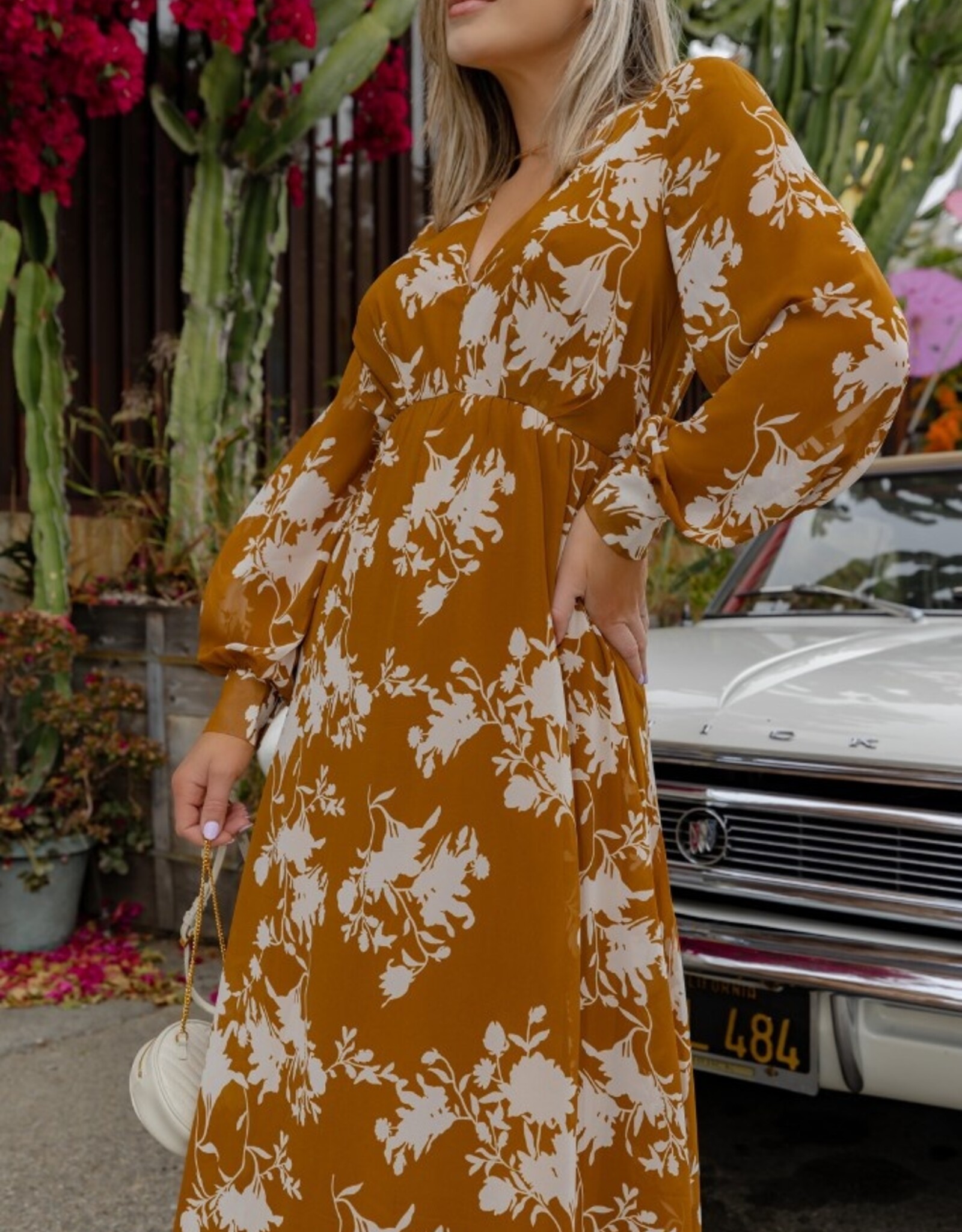 HUSH FRANCISCA L/S printed chiffon dress