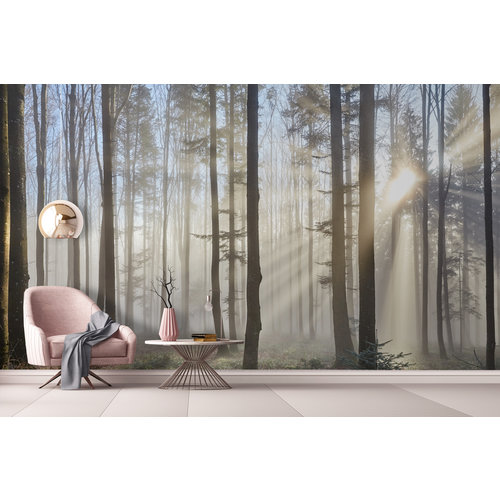 Best Mural Wallpaper - Forest Wallpaper Mural Best Mural Wallpaper - Forest Wallpaper Mural