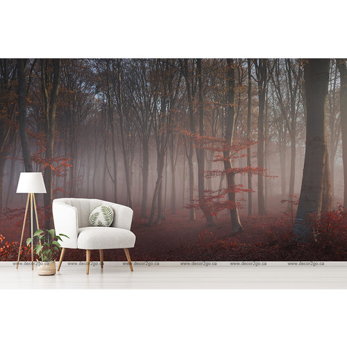 Foggy Red Forest Foggy Red Forest