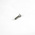 Hobie Hobie Screw 1/4-20 X 1'' Ohms-Ph Ss